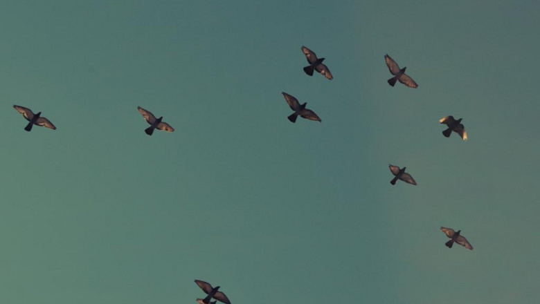 the 12 best kabbalah meditation accounts to follow on twitter