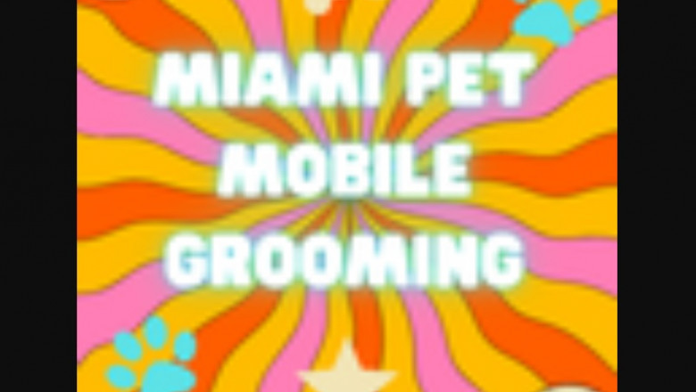 Value Of Pet Grooming To your Pets' Health