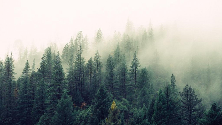 why people love to hate kabbalah