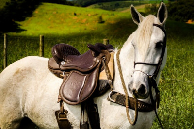How To Make More Parts Of A Saddle By Doing Less