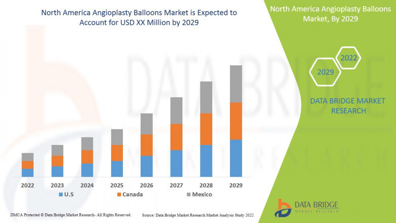 North America Angioplasty Balloons Market Analysis, Business Development, Size, Share, Trends, Future Growth, Forecast to 2029