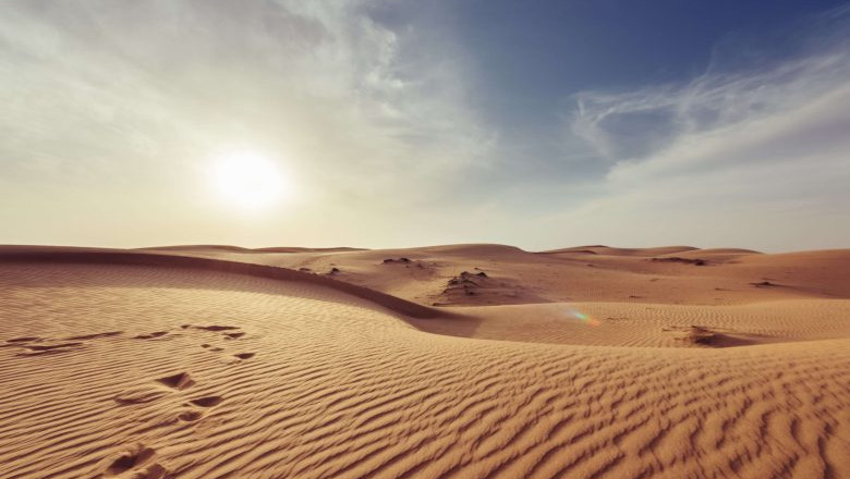 Searching for an incredible arrangement on a Dubai Desert Safari?