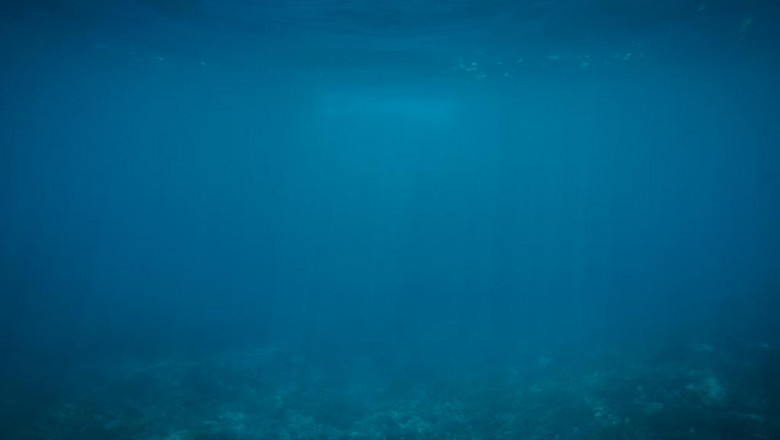 watch out how betmpo is taking over and what to do about it