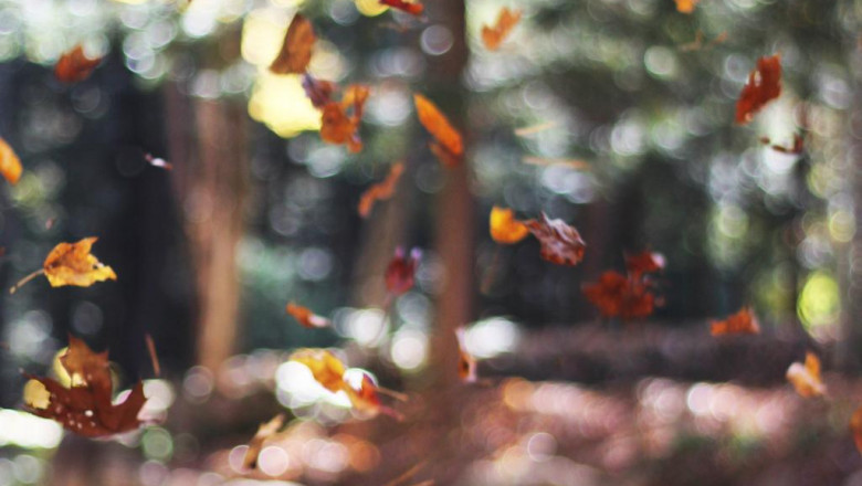 10 things your competitors can teach you about detoxify body at home