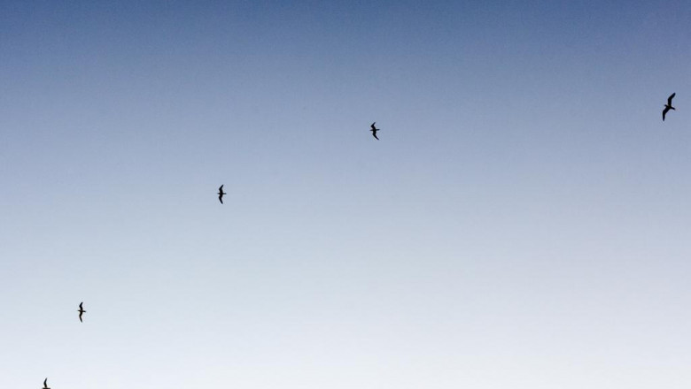 9 signs you need help with daegujadongcadambodaecul