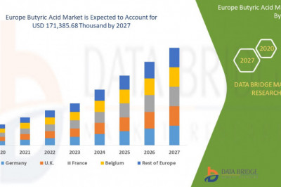 Butyric Acid Derivatives Market to Grow Two-Fold by 2027 as Application in Poultry and Swine Feed Rises