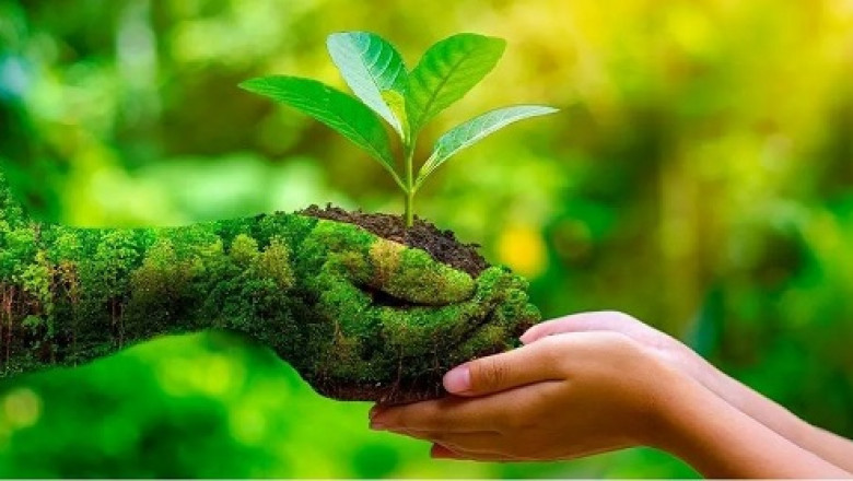 Ecological Restoration - A Global Strategy For Mitigating Climate Change