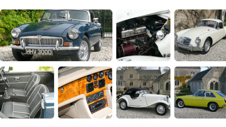 Mg restoration