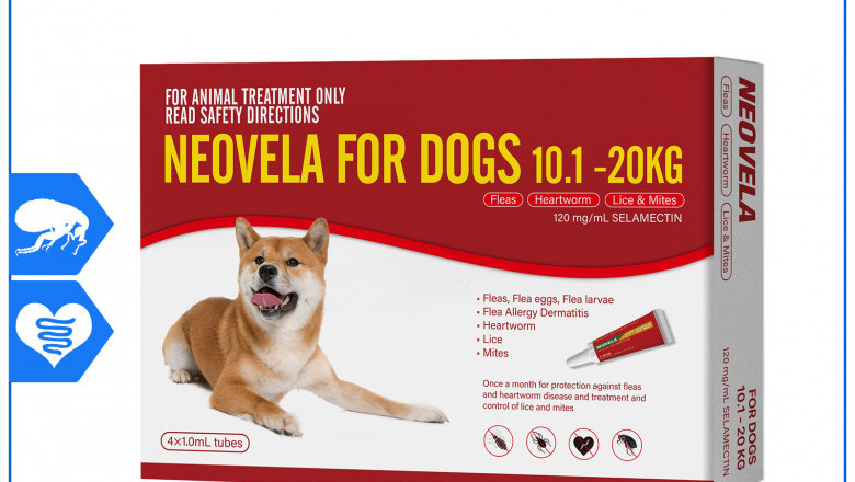 Neovela RED for Dogs 10.1 to 20 Kg 4 Pipettes Flea Heartworm Prevention