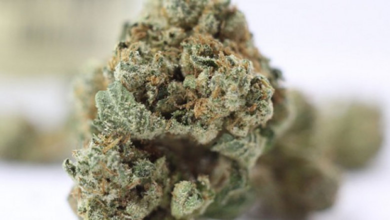 sour banana sherbet strain