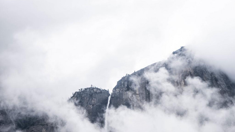 13 things about go bus you may not have known