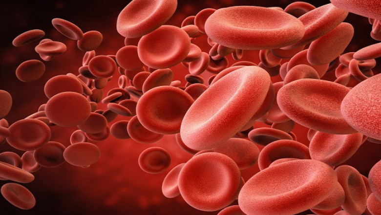 Blood Thinner Market Development Trends, SWOT Analysis, Impact of Economic and Policy Aspects 2022-2030