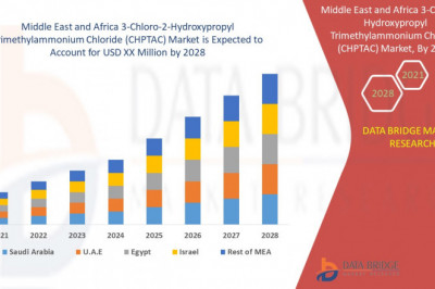 Middle East and Africa 3 Chloro 2 Hydroxypropyl Trimethyl Ammonium Chloride Market Overview