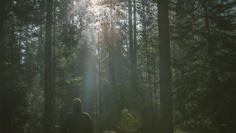 a stepbystep guide to asia99