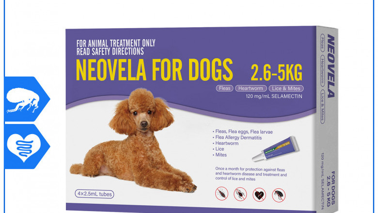 Neovela PURPLE for Dogs 2.6 to 5 Kg 4 Pipettes Flea Heartworm Prevention