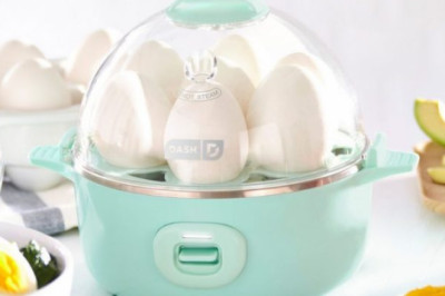 Best Egg Boiler in India