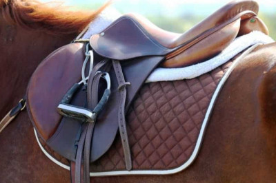 Buy a Used Saddle - Save Money and Get Better Quality