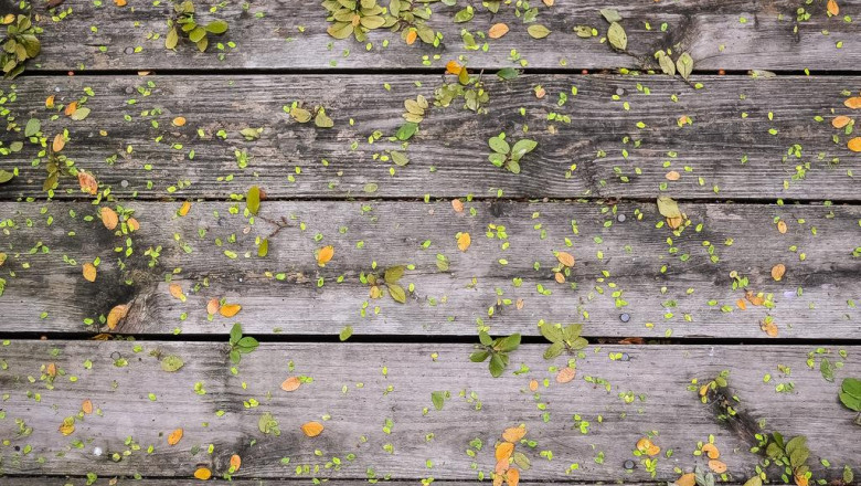 le peppe portable pizza oven wppo pizza oven