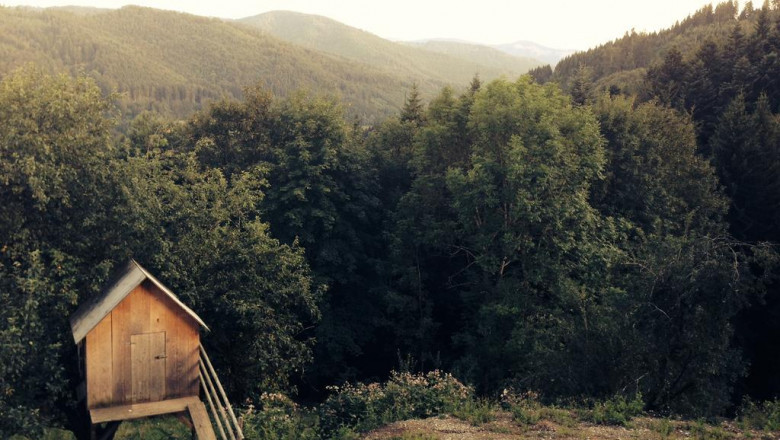 9 signs you sell giai ma giac mo for a living