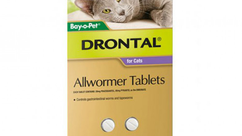 Buy Drontal Wormers For Small Cats 4 Kg Online | DiscountPetCare