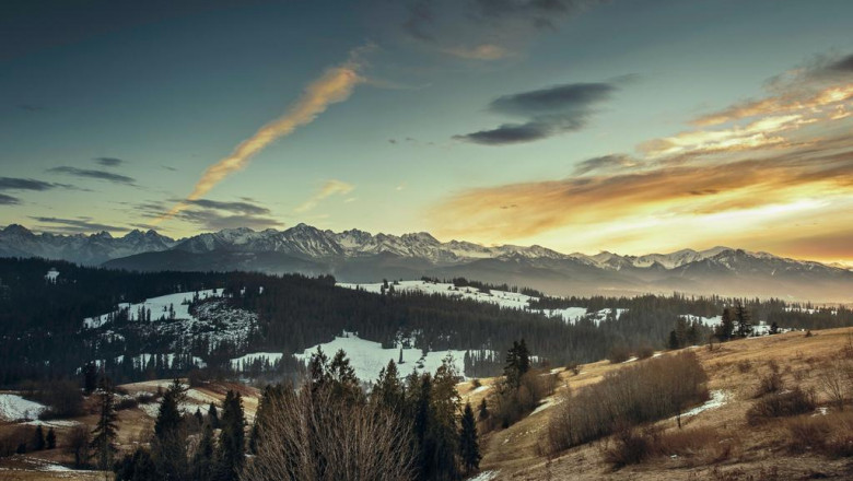 faruqi and faruqi announces notice to lifestance shareholders