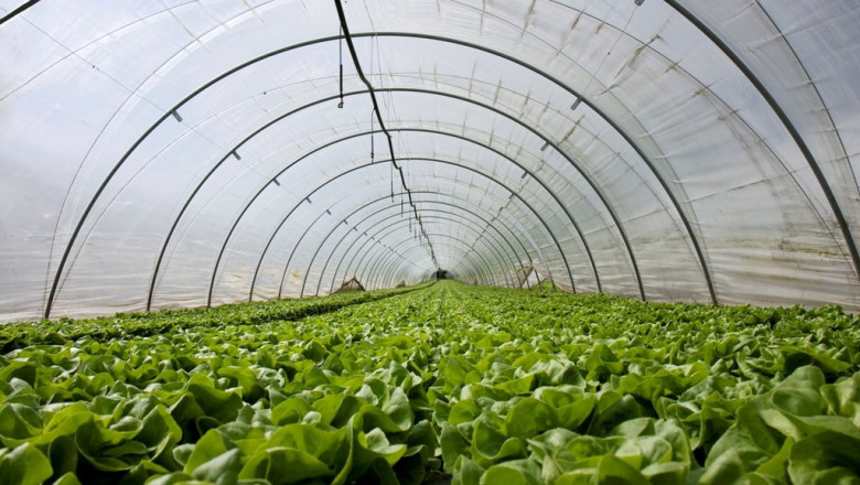 Usage of Agricultural Films on a Global Scale