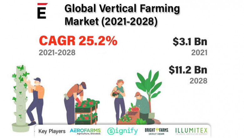 Vertical Farming Market is projected to grow USD 11.2 Bn in 2028, at a CAGR of 25.2%