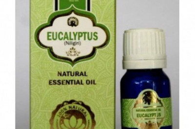 Want To Buy  EUCLYPTUS ESSENTIAL Oil Online In India?