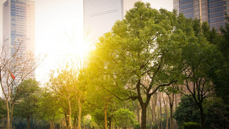 Park View City Lahore; Everything You Need to Know