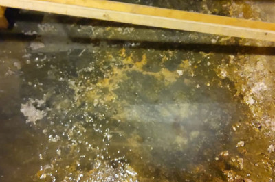 Top Water Damage Restoration Services in Midvale | 1st American Plumbing, Heating & Air