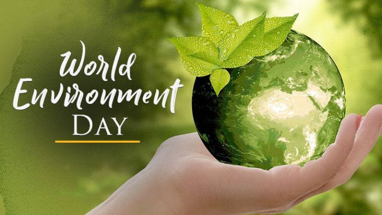 World Environment Day-Love to breathe, save the trees