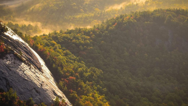 addicted to cbd bluten 100g us too 6 reasons we just cant stop