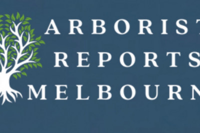 Arborists and Why You need to Hire Them