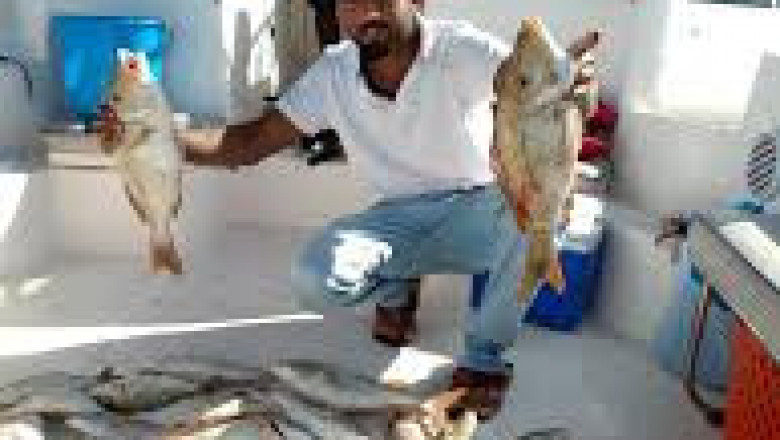 Fishing boat Dubai - Beach Riders Dubai