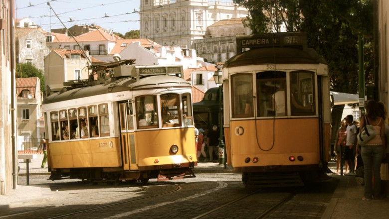 meet the steve jobs of the cbd hash kaufen industry