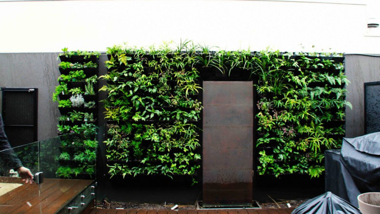 Vertical Garden Melbourne