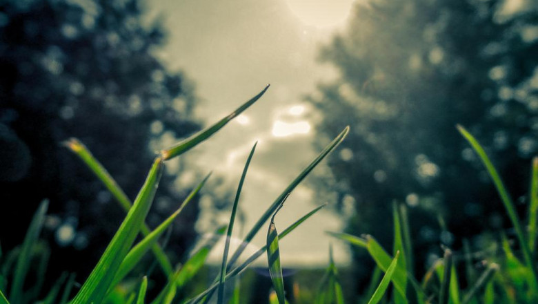 30 inspirational quotes about shrk mkfh hshrt blryd