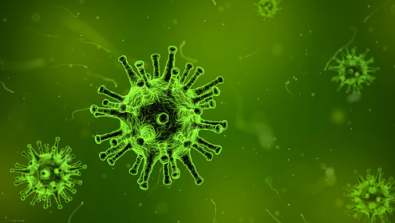 Master of biomedical science