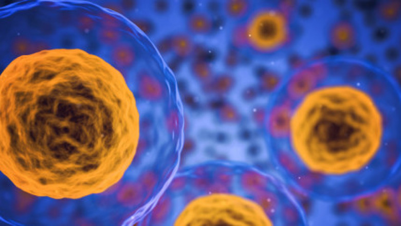 Microbiology | College of Medicine Alfaisal University