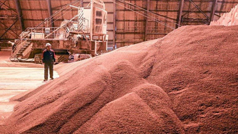 Potash Fertilizers; Promote Root Growth, Yield, And Overall Health Of Plants By Improving Root Strength, Yield, And Overall Health