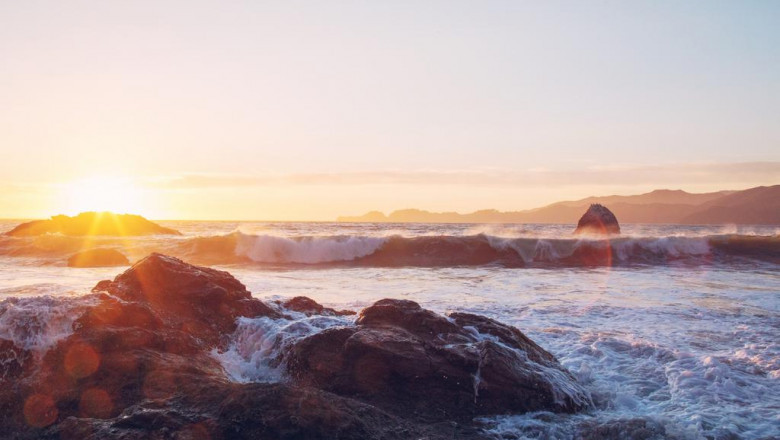 visit our website and learn about hair fall after hair transplant near towson maryland