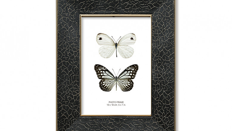 Introducing Our New Arrival Picture Frame