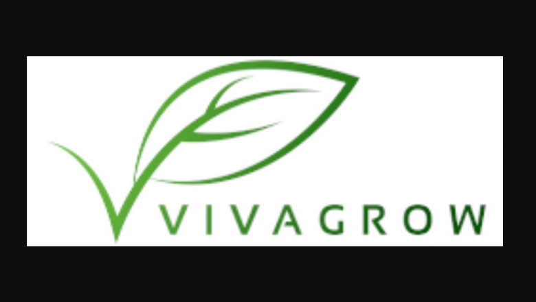 Organic Fungicides for Dummies