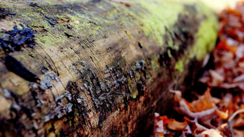 the plot lamelowy plastikowysplendid blog 6478