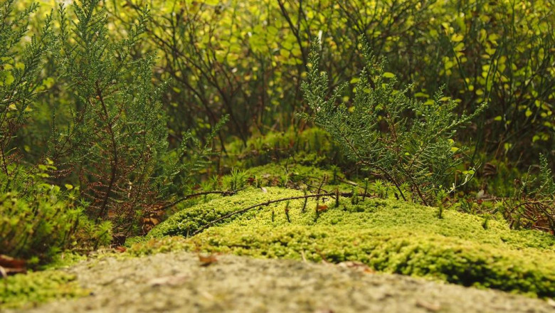 10 suggestions to get ready for your property examination