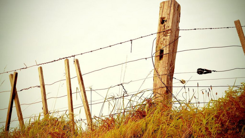 15 tips about wtobet from industry experts