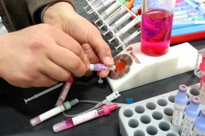 Blood Collection Devices Market Dynamics
