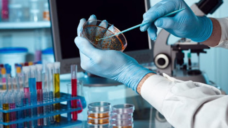 Enteric Disease Testing Market Dynamics