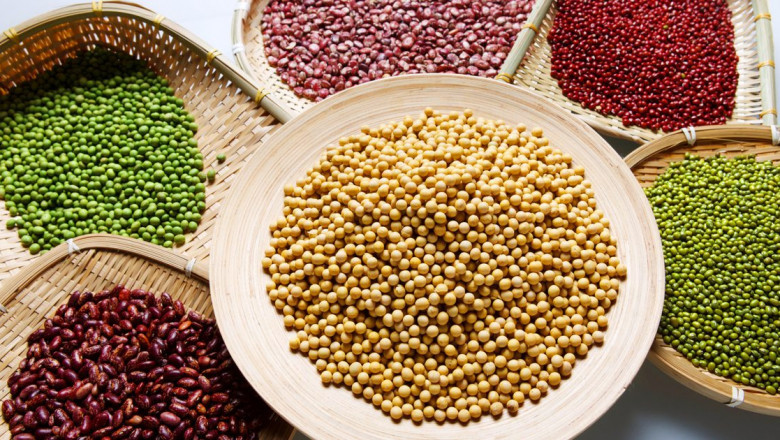 Global Seed Treatment Market: Share, Size, Opportunity, and Forecast 2020-2027