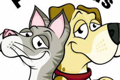 Medical advantages of Having A Pet